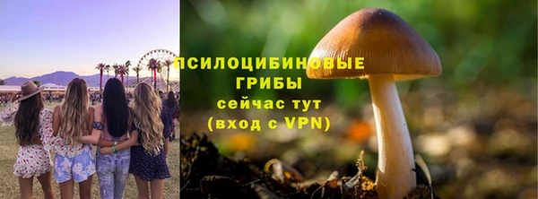 Альфа ПВП Белокуриха